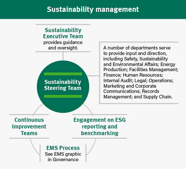 Sustainability management infographic