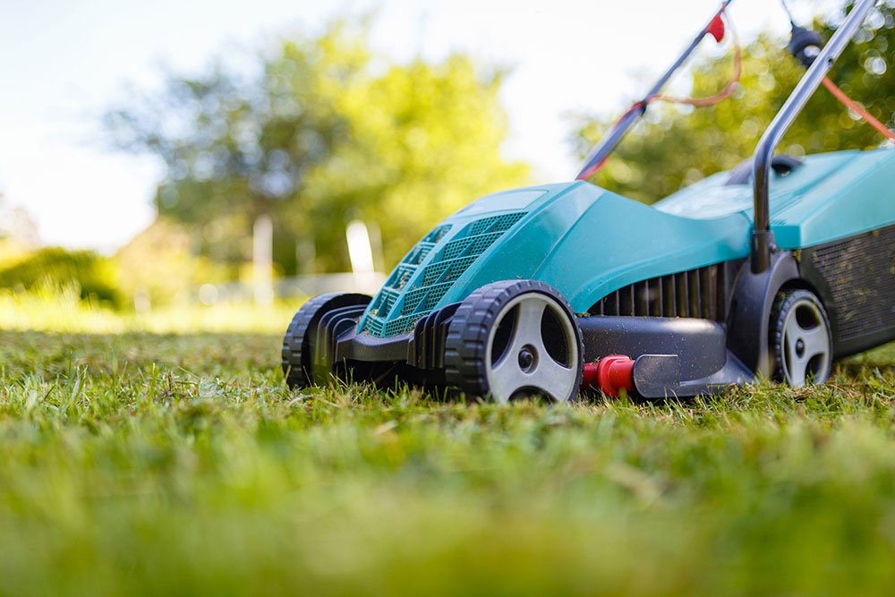 A green electric lawn mower