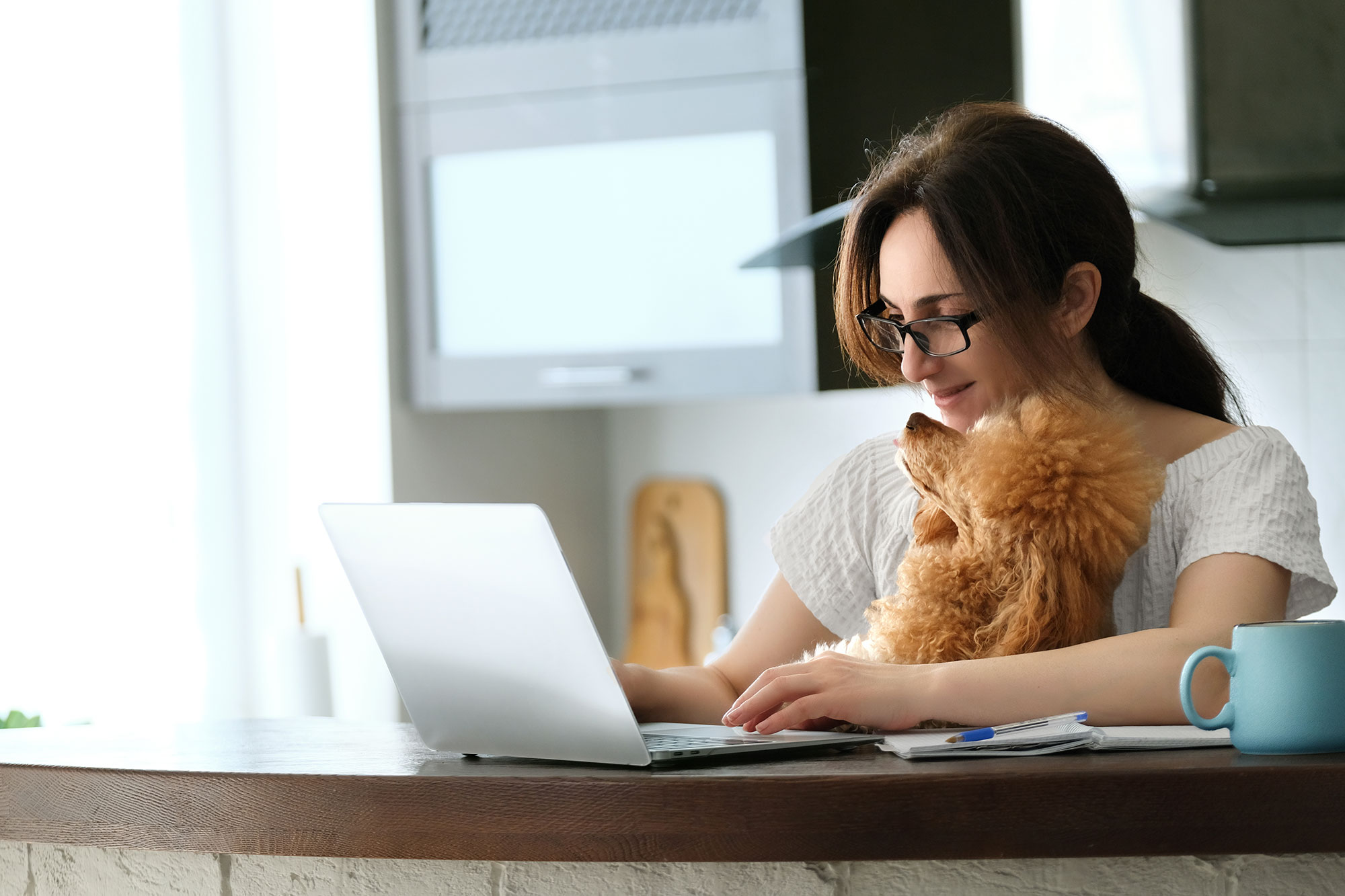 Woman sitting at home desk looking at computer with dog in her lap.