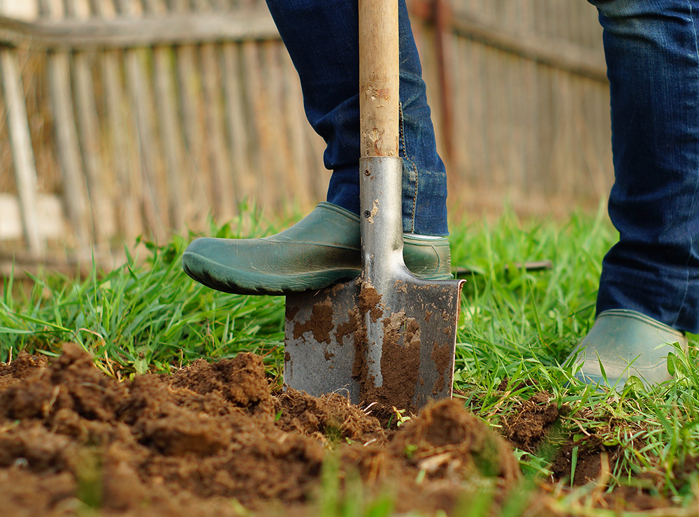 Digging with a shovel.