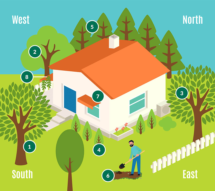 Colorful infographic showing where to plant trees and shrubs to help save energy at home.