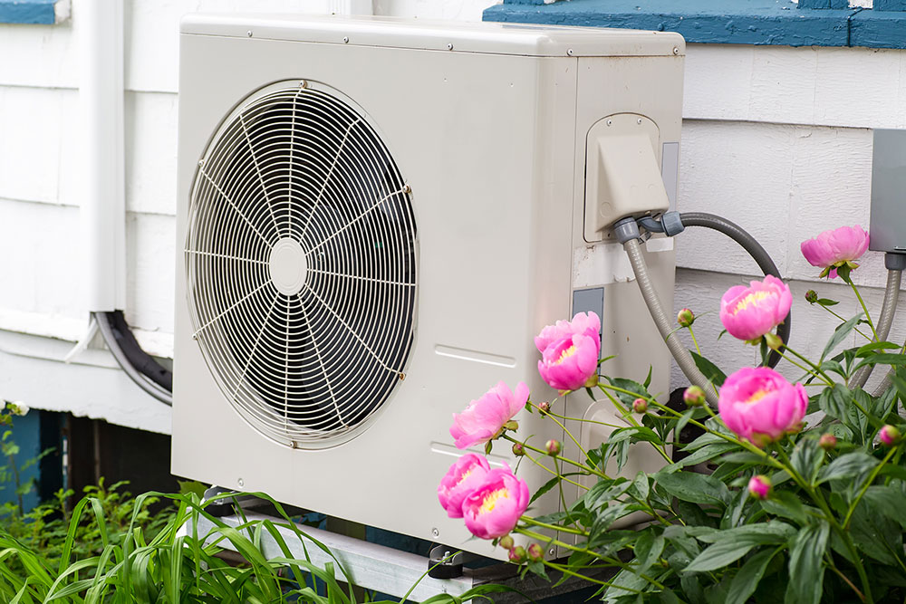 Air-source heat pump near pink peony blossoms.